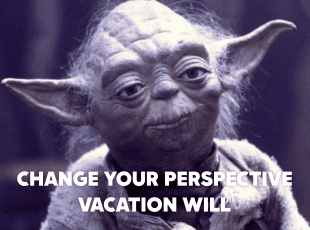 Yoda, master of vaction property management.