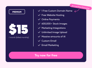 Try Hocoos AI premium for just $15 a month