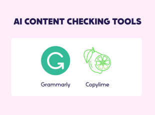 Content Creation Tools are super quick & easy to use.