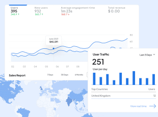 Get audience insights and refine your content creation ideas.