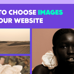 A promotional graphic with a bold purple header reading 'HOW TO CHOOSE IMAGES FOR YOUR WEBSITE.' Below are three sample images: on the left, a serene desert landscape; in the center, a close-up portrait of a person with a white rose; and at the bottom, white roses in soft focus.