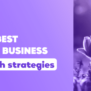 A graphic image with a purple theme featuring the text '11 BEST SMALL BUSINESS growth strategies' in bold, white font. The background is divided diagonally with the top portion in solid purple and the bottom portion displaying a close-up photo of purple-tinted flowers against a blurred natural backdrop.