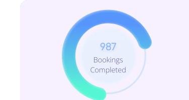 Graphical representation of booking statistics with a circular progress bar indicating 987 bookings completed, with a focus on performance metrics and achievement.